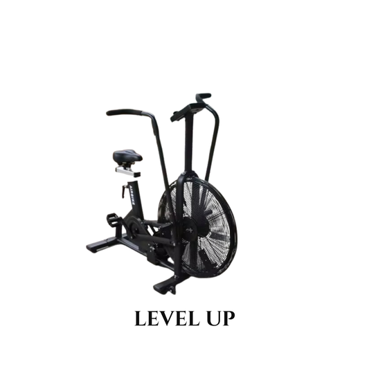 Assault Bike